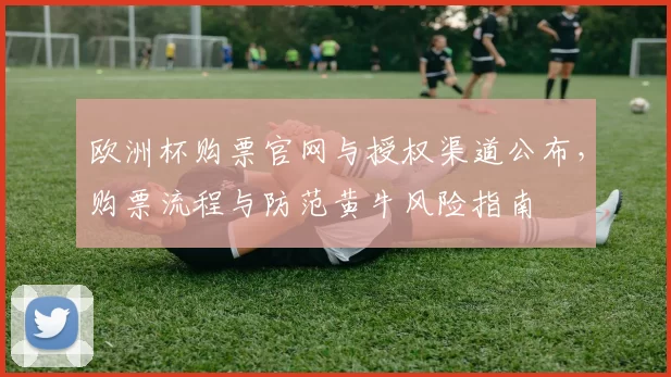 欧洲杯购票官网与授权渠道公布，购票流程与防范黄牛风险指南