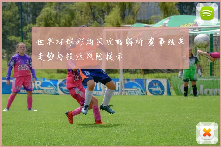 世界杯球彩购买攻略解析 赛事结果走势与投注风险提示